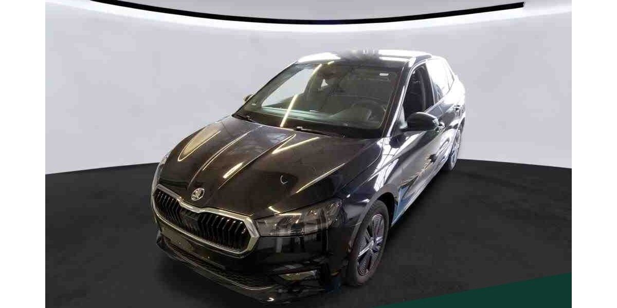 Skoda Fabia 49.100 km 20.849 &euro; Mühlheim 63165