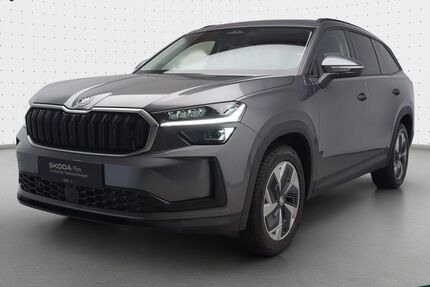 Skoda Kodiaq 19.000 km 43.999 € Mühlheim 63165