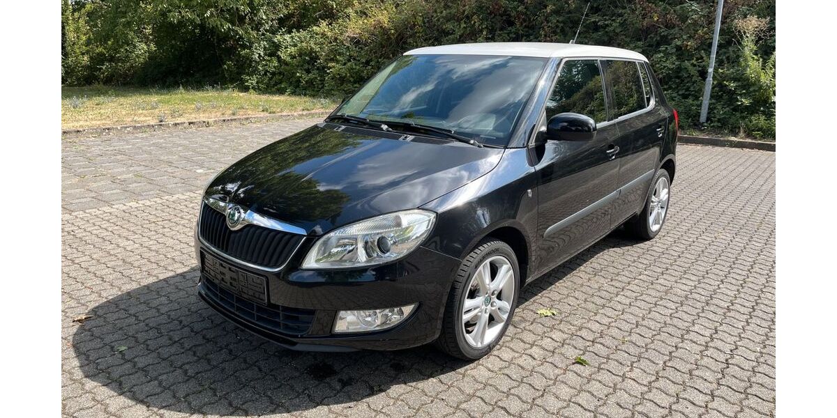 Skoda Fabia 106.850 km 4.500 &euro; Bruchköbel 63486