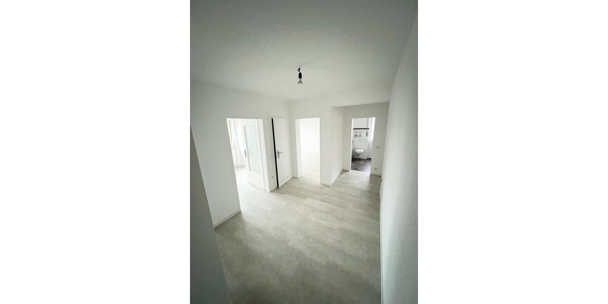 Etagenwohnung Frankfurt am Main Nord-Ost - 3 Zimmer, 75 m&sup2;, 1.250&euro; | Angebot:25648808