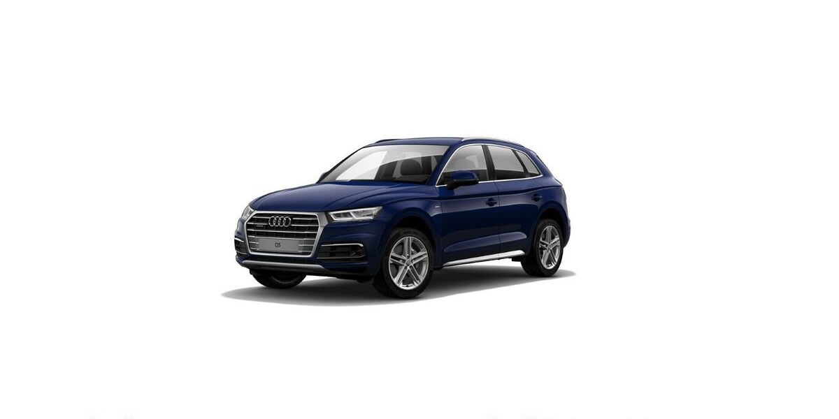 Audi Q5 115.568 km 31.890 &euro; Hofheim 65719