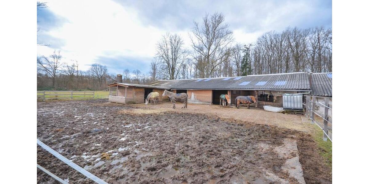 Gewerbeobjekt Seligenstadt - 1.300&euro; | Angebot:25431487