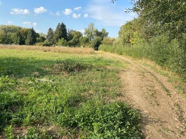 Für Investoren - Grünland in Dieburger Stadt-Nähe zimmer