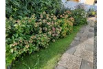 Einfamilienhaus Neuberg - 5 Zimmer, 165 m&sup2;, 325.000&euro; | Angebot:27236601