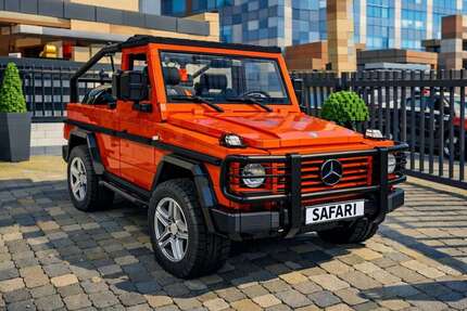 Mercedes-Benz G 230 60.000 km 81.500 &euro; Frankfurt 60326