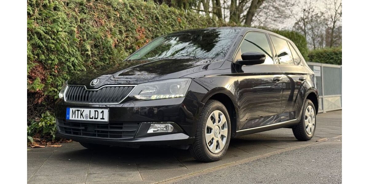 Skoda Fabia 175.400 km 6.300 &euro; Frankfurt 60487