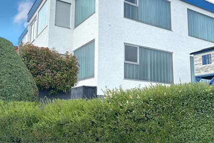 Halle in Friedrichsdorf 990.000 € 316 m² zimmer