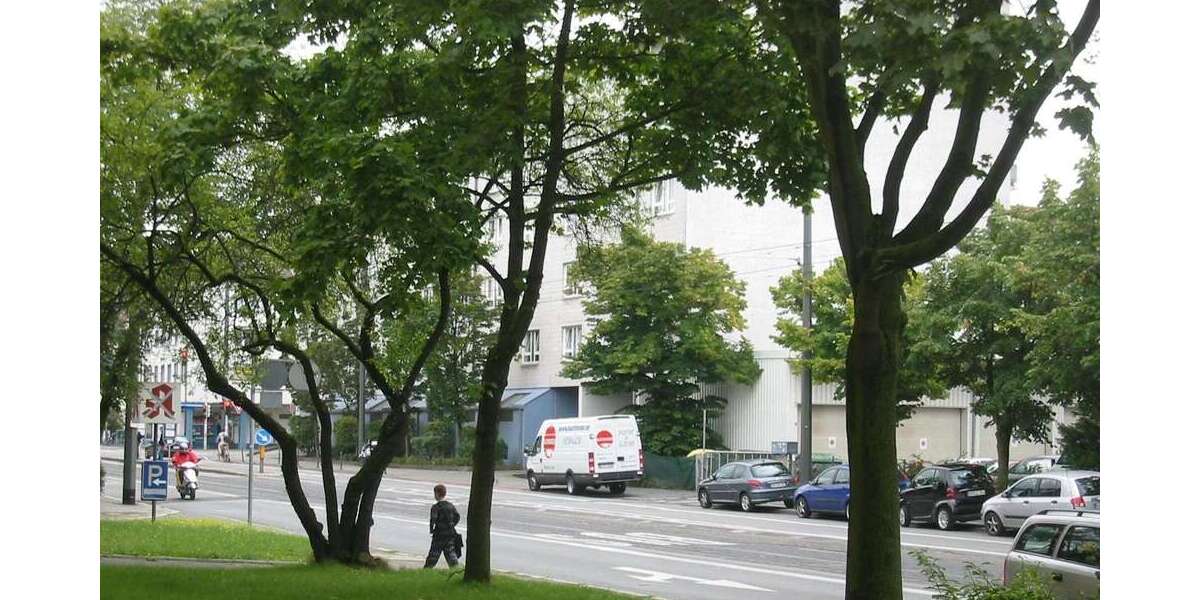 Etagenwohnung Darmstadt Martinsviertel-West - 2 Zimmer, 65 m&sup2;, 710&euro; | Angebot:27155279