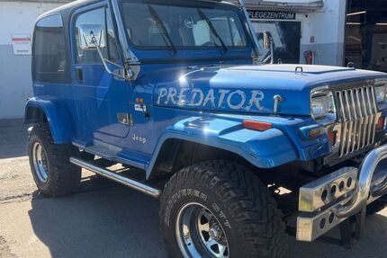 Jeep Wrangler 125.489 km 14.500 &euro; Ginsheim-Gustavsburg 65462