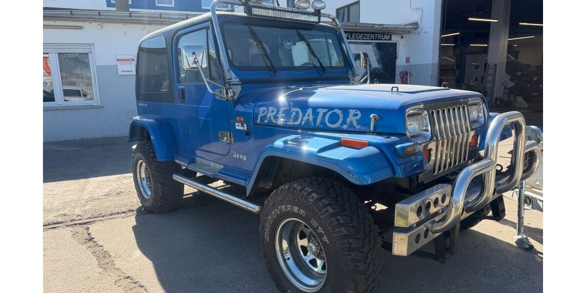 Jeep Wrangler 125.489 km 14.500 &euro; Ginsheim-Gustavsburg 65462