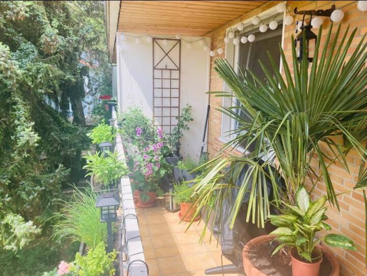 Kurzzeitmiete Frankfurt-Eschersheim 1-Zimmer-Wohnung 1 zimmer