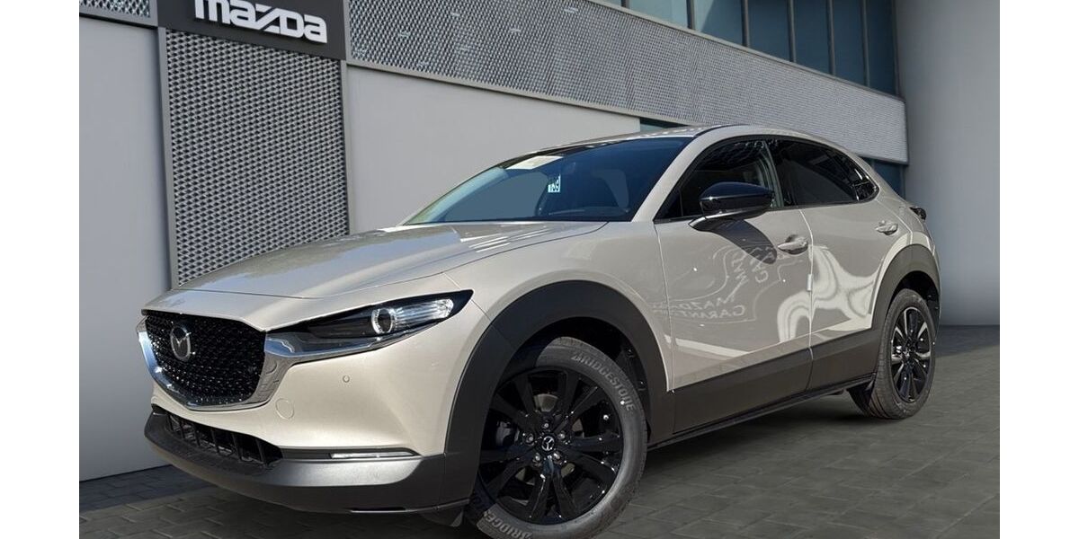 Mazda CX-30 1.628 km 30.090 € Niedernhausen 65527