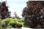 Terrassenwohnung Dreieich Dreieichenhain - 2 Zimmer, 118 m&sup2;, 425.000&euro; | Angebot:26472786