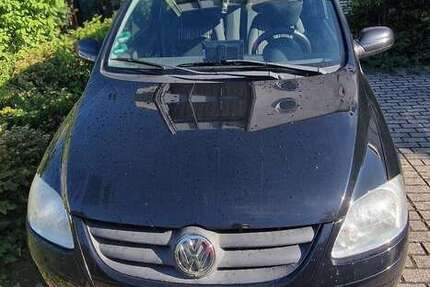 VW Fox