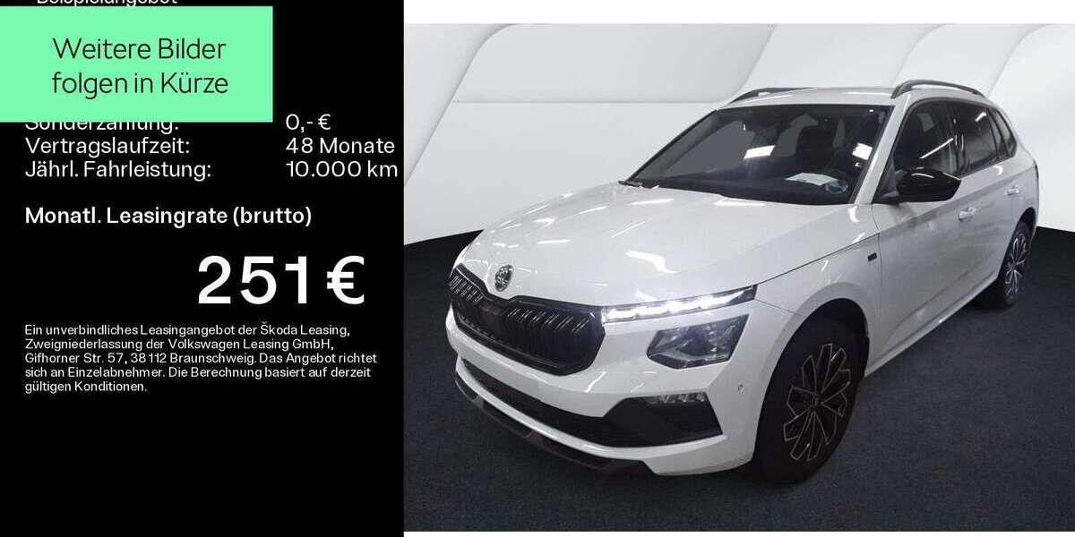 Skoda Kamiq 21.200 km 27.999 &euro; Mühlheim a. Main 63165