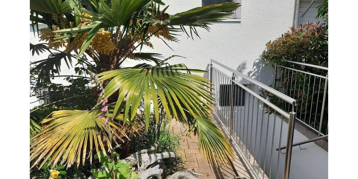 Wunderschön sanierter Bungalow zum Wohlfühlen 7 zimmer