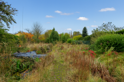 Grundstück zu verkaufen in Münster (Altheim) 320.000 € 700 m² zimmer
