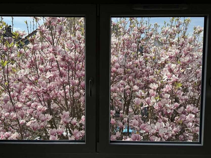 Wohnung zum Mieten in Wiesbaden 1.701 € 126 m² 5 zimmer