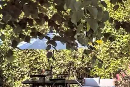 Wohnung Bad Homburg Gonzenheim - 4 Zimmer, 110 m&sup2;, 495.000&euro; | Angebot:26348934