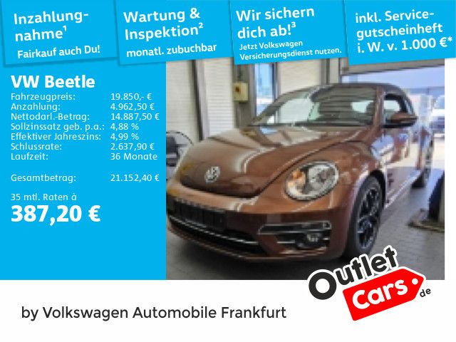 Beetle