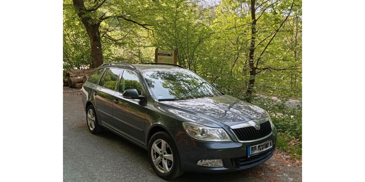 Skoda Octavia 210.000 km 2.900 &euro; Schmitten 61389