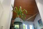 Reihenmittelhaus Neu-Isenburg Isenburg - 6 Zimmer, 163 m&sup2;, 679.900&euro; | Angebot:25778545