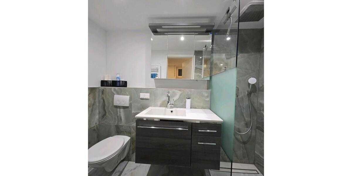 Etagenwohnung Frankfurt am Main Sossenheim - 1 Zimmer, 41 m&sup2;, 900&euro; | Angebot:24661497