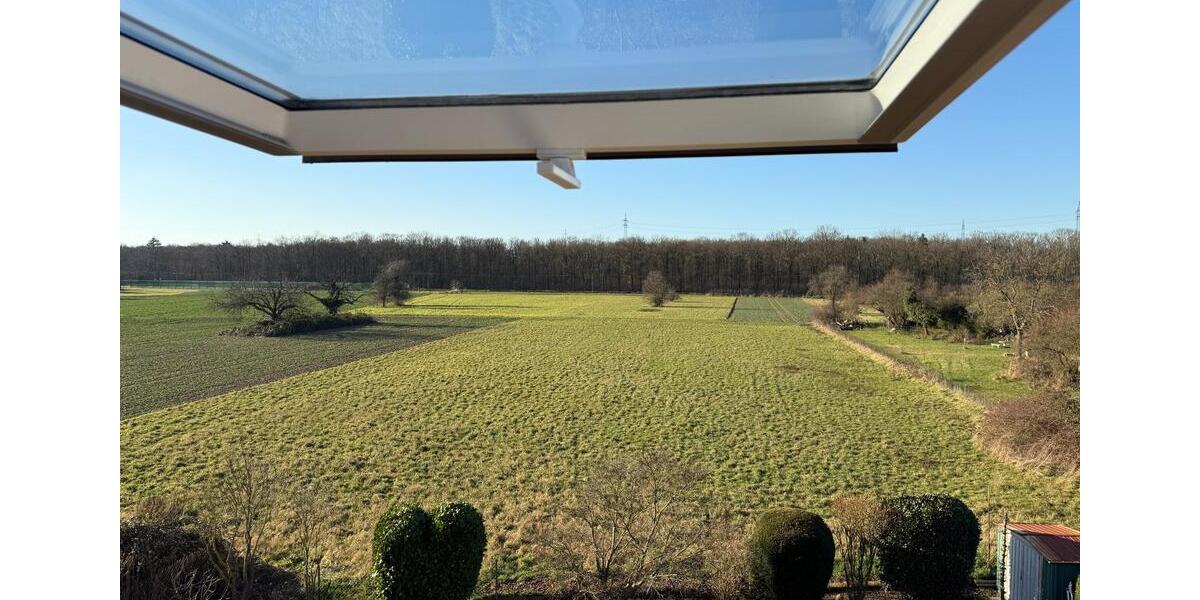 Dachgeschoßwohnung Hattersheim am Main - 2 Zimmer, 63 m&sup2;, 730&euro; | Angebot:24850720