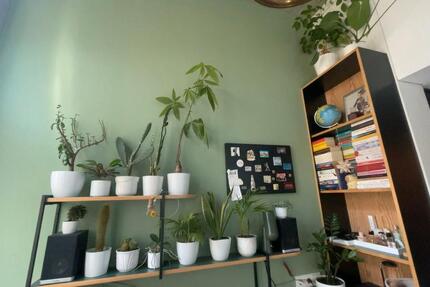 Studentenapartment Neon Wood Frankfurt 1 zimmer