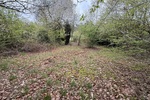 Kelkheim: Hier erfüllen Sie Ihren Traum! Idyllisches Grundstück im Wochenendgebiet - Grundstück Kelkheim | Angebot:26134206