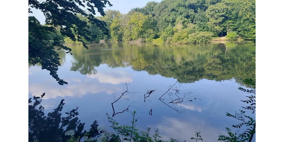 Etagenwohnung Frankfurt am Main Nied - 1 Zimmer, 55 m&sup2;, 480&euro; | Angebot:25640894