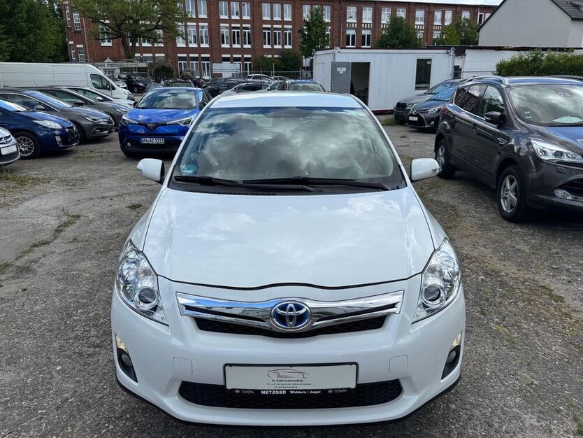 Auris
