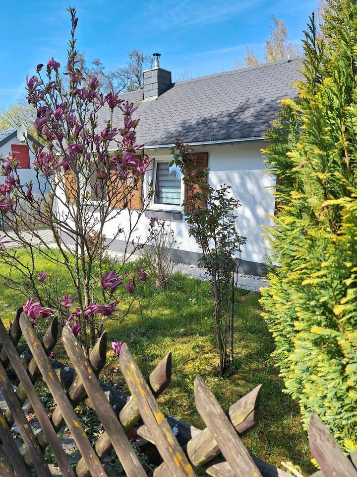 LIMBURG: DHH, Single Haus, 50 qm Wfl, Grundstück 227 qm