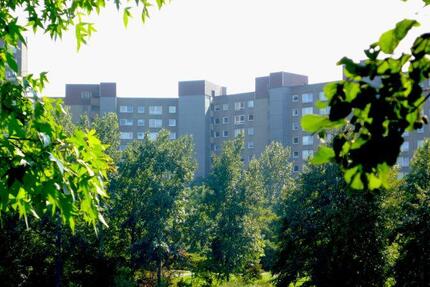 Wohnung Darmstadt Darmstadt-Nord - 3 Zimmer, 77 m&sup2;, 829&euro; | Angebot:25788550