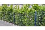 Etagenwohnung Frankfurt (Main) - Rödelheim Rödelheim - 3 Zimmer, 88 m&sup2;, 1.650&euro; | Angebot:26821985