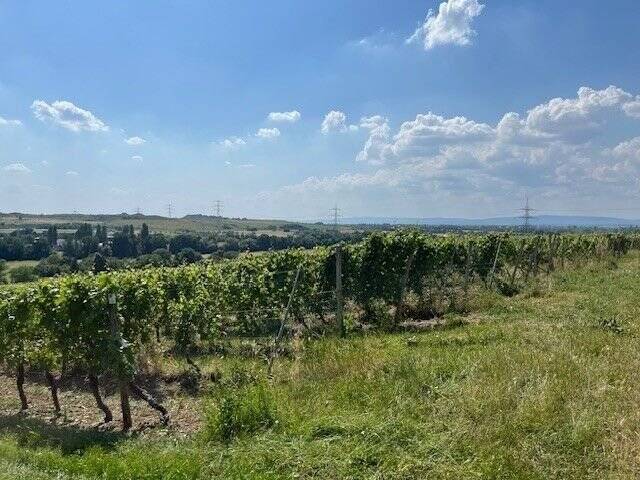 Doppelhaushälfte Flörsheim Wicker - 5 Zimmer, 138 m&sup2;, 684.900&euro; | Angebot:21402625