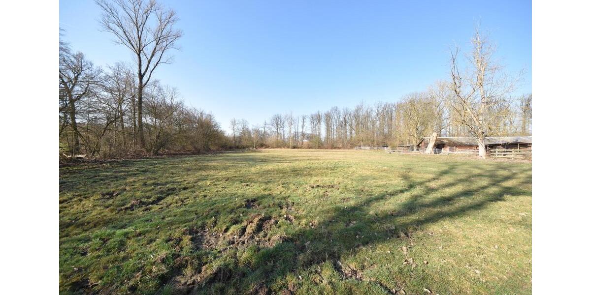 Gewerbeobjekt Seligenstadt - 1.300&euro; | Angebot:25431487