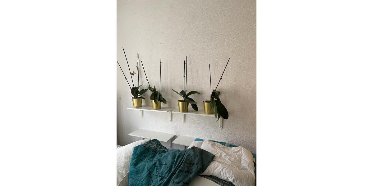 Etagenwohnung Frankfurt am Main Oberrad - 1 Zimmer, 30 m&sup2;, 700&euro; | Angebot:25662535