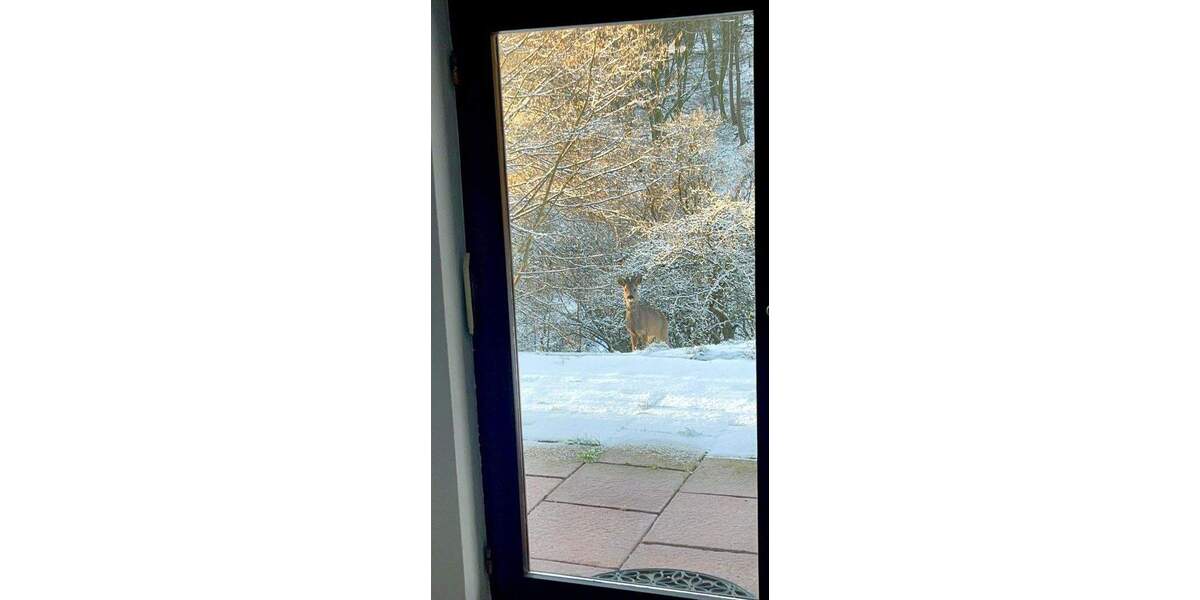 Mehrfamilienhaus, Wohnhaus Bad Soden Altenhain - 4 Zimmer, 90 m&sup2;, 800&euro; | Angebot:25720668