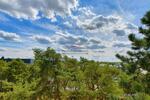 2 ZKBB* Wannenbad* Laminat* Aufzug* 5.OG * TG-Stellpl.* Süd-Balkon* Wannenbad* GriesheimHochhäuser - Etagenwohnung Griesheim / Flughafenstr. Flughafenstr. | Angebot:27375027