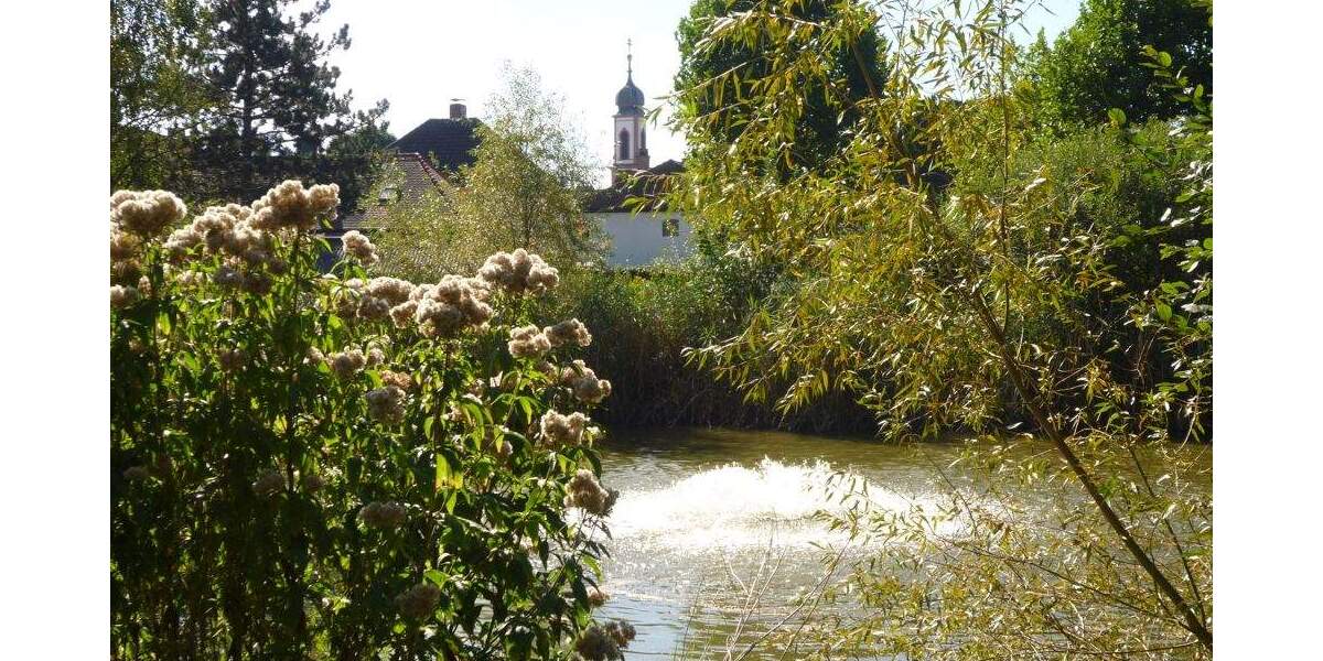 Baugrundstück in zentraler Lage von Heusenstamm zimmer