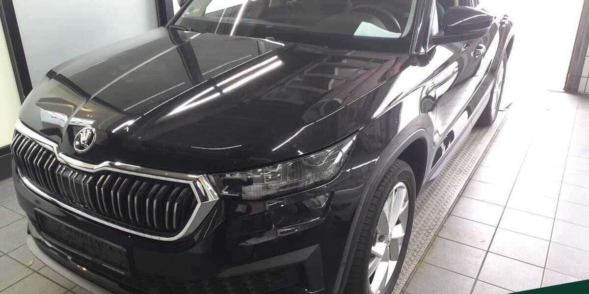 Skoda Kodiaq 67.800 km 28.888 &euro; Mühlheim a. Main 63165