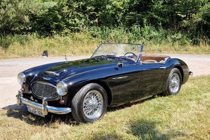 Austin Healey Andere