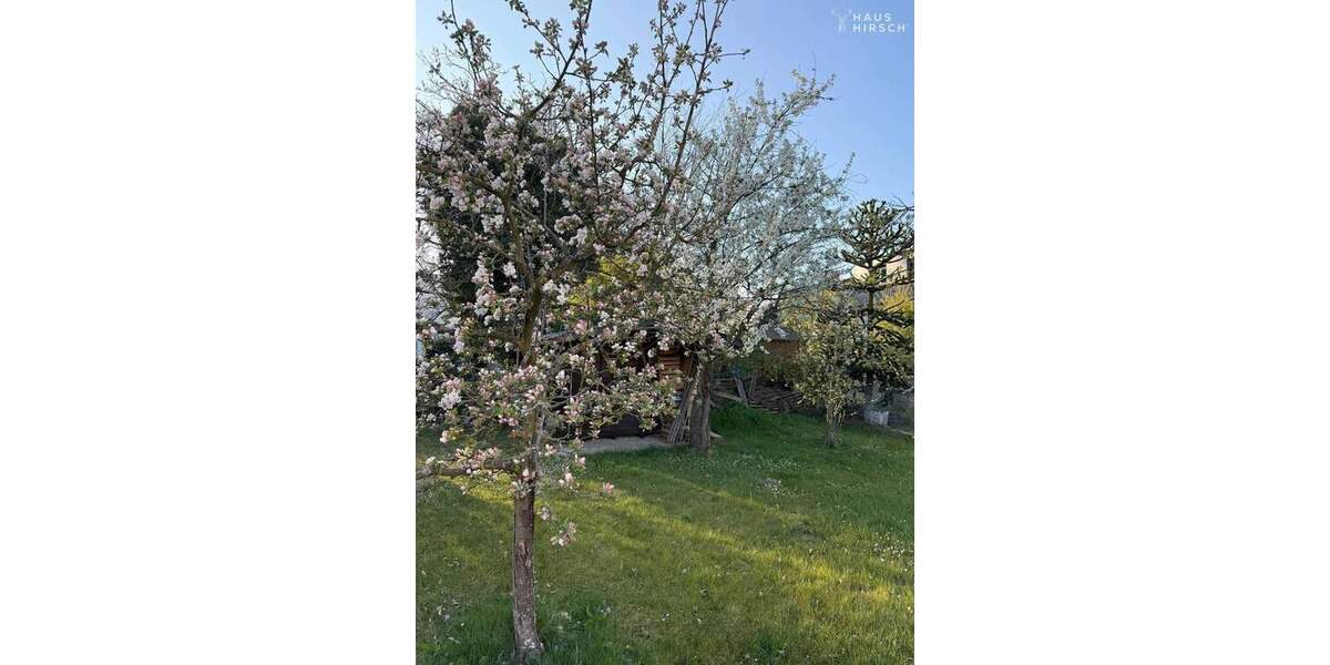 Bungalow mit großem Grundstück zimmer