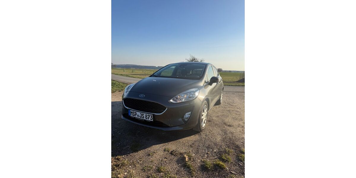 Ford Fiesta 92.100 km 7.800 &euro; Köppern 61381