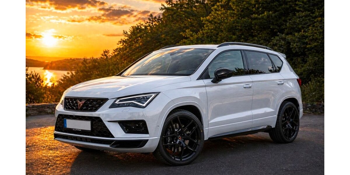 Cupra Ateca 58.000 km 24.200 &euro; Mühlheim am Main 63165