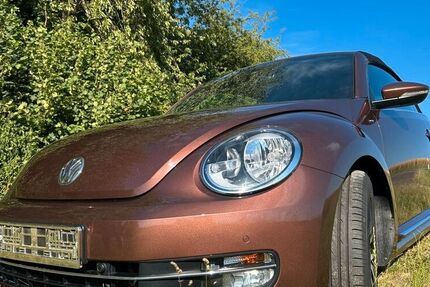 VW Beetle
